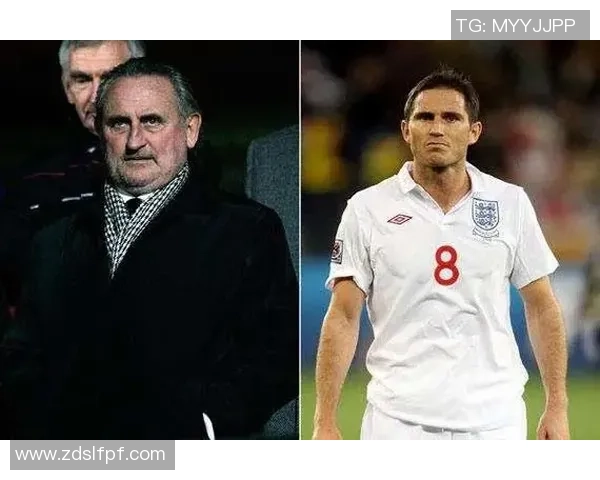 足球巨星的心爱猫咪竟是好友亲手赠送的背后故事揭秘